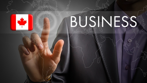 10 Best Business Opportunities in Canada for Indian Immigrants in 2025